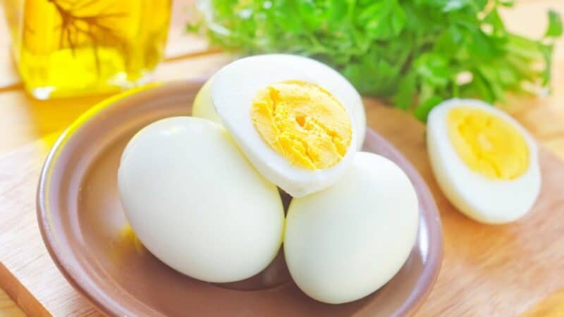 חלבון ביצה