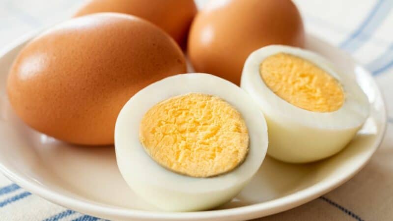 חלבון ביצה